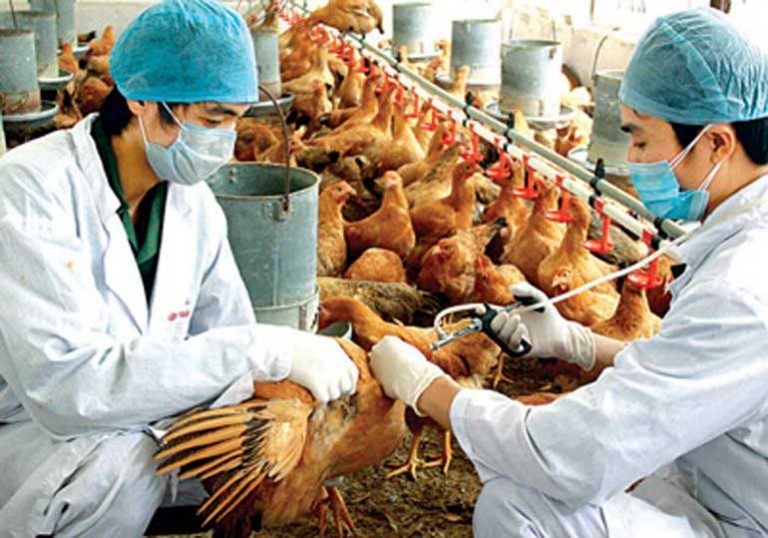 Proactive prevention of avian influenza in 2017 Lunar New Year