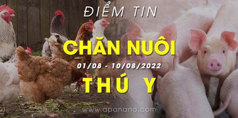 Điểm tin Chăn Nuôi – Thú Y (01/08 – 10/08/2022)